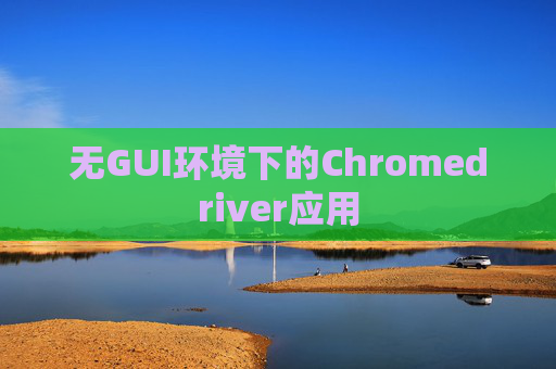 无GUI环境下的Chromedriver应用