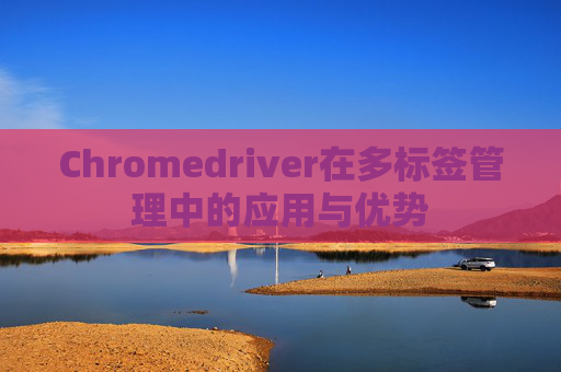 Chromedriver在多标签管理中的应用与优势